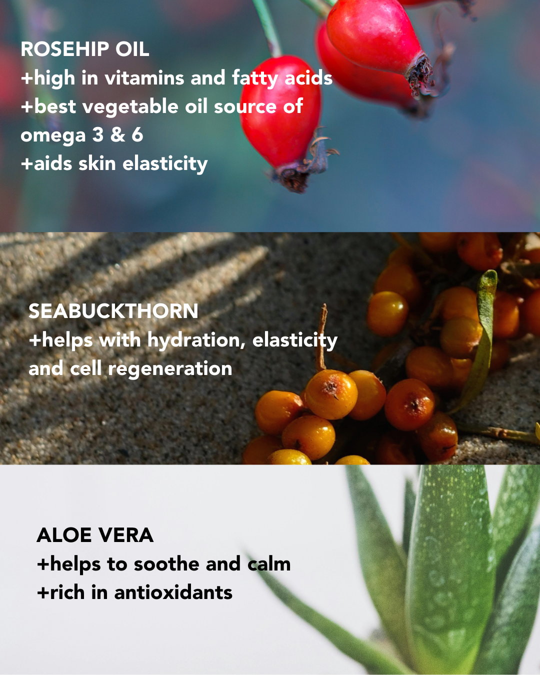 24Hr Rosehip Face Serum 30ml