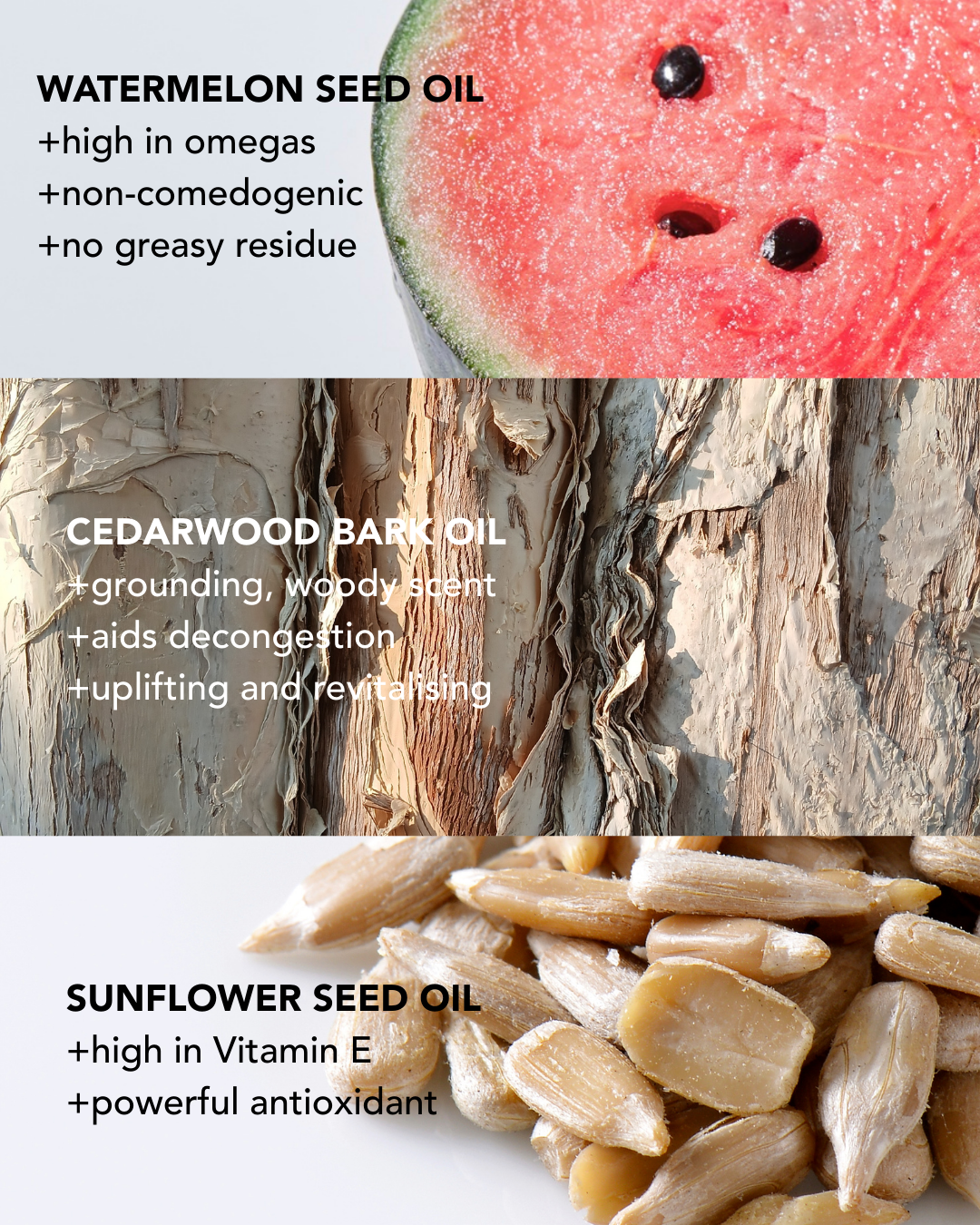 Absolute Cleansing Oil 250ml Refill Pouch