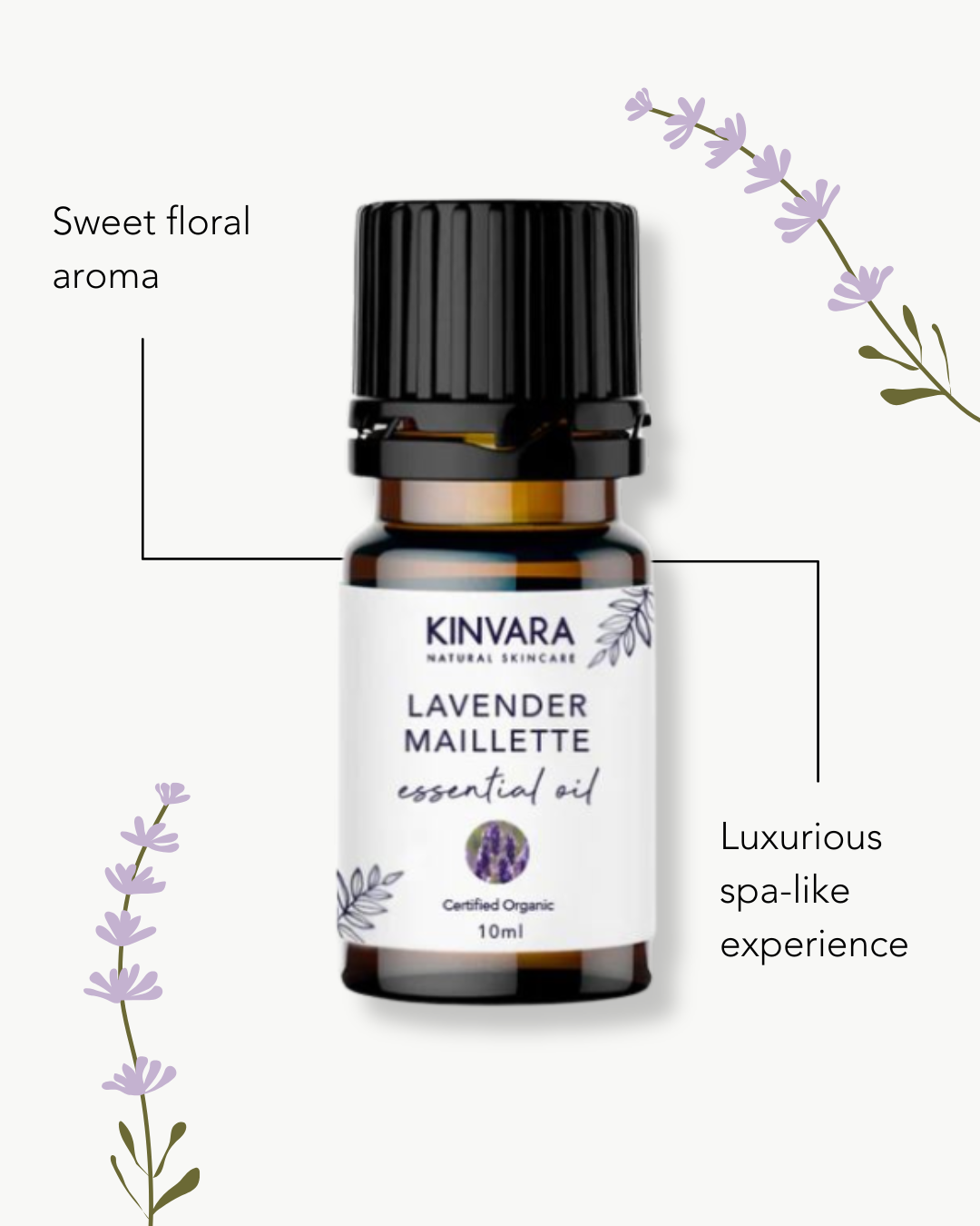 Lavender Maillette Essential Oil 10ml