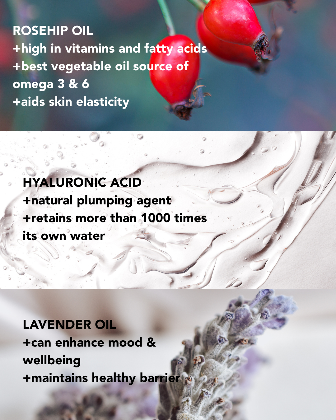 The Best Sellers Bundle